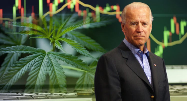Marijuana Cannabis Stocks Speculation Or Growth Sector Financial Horse